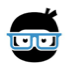 Code Ninja